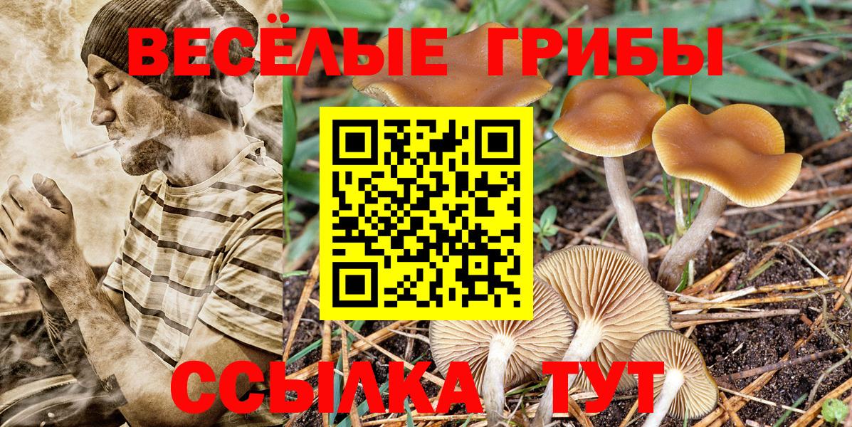 Галлюциногенные грибы GOLDEN TEACHER Киров